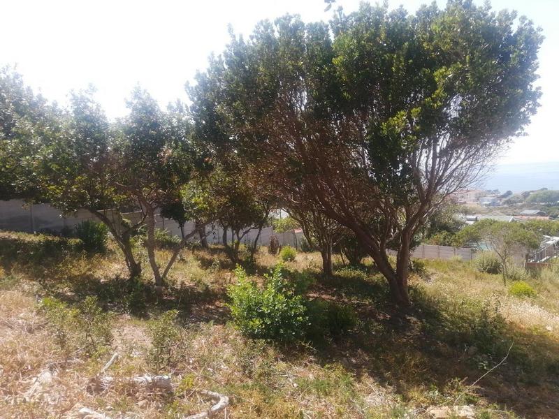 0 Bedroom Property for Sale in Tergniet Western Cape